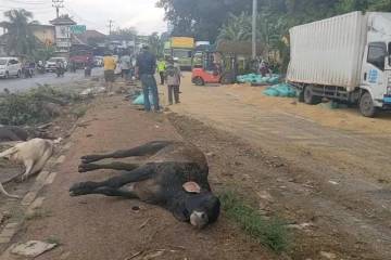 Polisi: Kecelakaan Truk Di Bakauheni Akibat Rem Blong