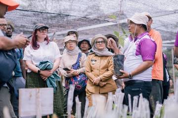 Kakao di Lampung Timur Jadi Potensi Tingkatkan Ekonomi