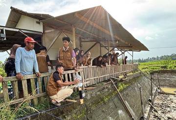 Inovasi IoT Desa, Petani Pantau Air Real Time