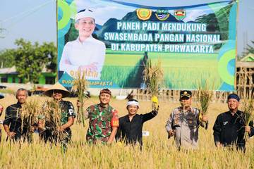 Petani Purwakarta Naik Kelas, Hasil Panen Berlimpah