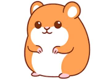 Mengenal Peluang Usaha dengan Ternak Hamster