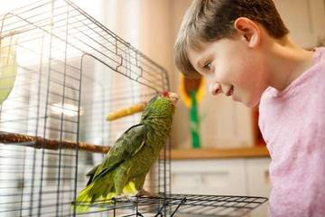 Merawat Burung Kicau: Bukan Sekadar Hobi