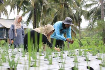 Geliat Petani Muda di Kota Tasikmalaya Tumbuh