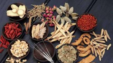 Manfaat Tanaman Obat bagi Kesehatan Tubuh