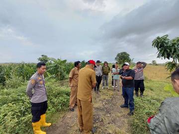 Penanaman Jagung,  SDM Polda Jabar Siapkan120 Hektar