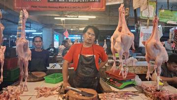 Daging Ayam di Pasar Kosambi Stabil Jelang Ramadan