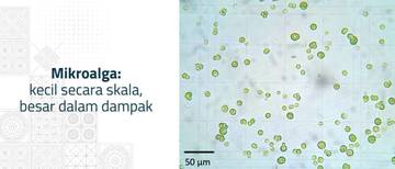 ITB: Indonesia Dapat Memitigasi Perubahan Iklim melalui Teknologi