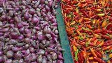 Segera Dapatkan Cabai Murah Segar di Distanhorti Jabar