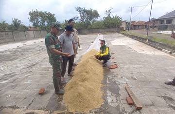 Babinsa Pabuaran Dampingi Petani Dalam Program Sergap 