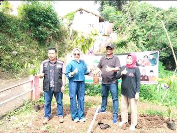 Ratusan Bibit Pohon Ditanam Anggota DPRD 
