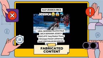 Hoaks, Tewasnya Pelatih Paus Jessica Radcliffe Dimangsa Orca