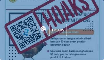 Hoaks, Program Ayam Petelur Gratis dari Kementerian Pertanian