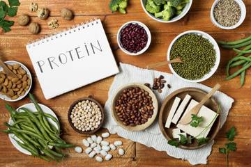 Protein Nutrisi Penting bagi Tubuh, Tak Harus Mahal