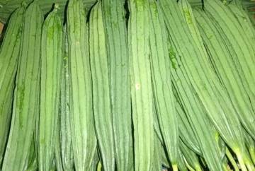 Oyong, Sayur Segar yang Banyak Dicari Kaum Ibu