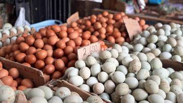 Harga Telur Fluktuatif Jelang Ramadan di Kota Banjarmasin