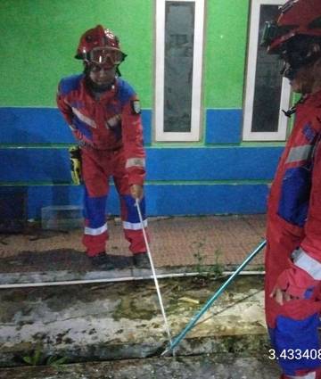 Damkar Banjar Tangani Ular Cobra di Sekumpul