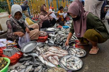 Nilai Produksi Ikan Budidaya di Pandeglang Capai Rp1,6 Triliun