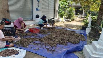 Sekartani Dorong Kemandirian Pangan Lewat Inovasi Sayuran Lokal