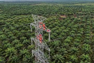 Hari Listrik Nasional, PLN Tegaskan Komitmen Energi Hijau