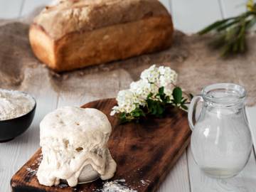 Resep Starter Sourdough, Ragi Alami dari Dua Bahan