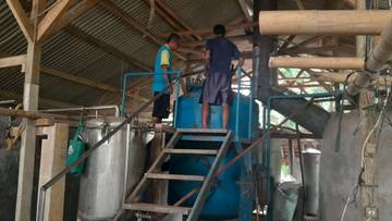 Kelompok Tani Mukti Tani, Pelopor Budidaya Nilam Pandeglang