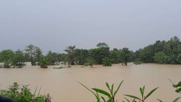 Pemkab Pandeglang Desak Pusat Normalisasi Sungai Atasi Banjir 