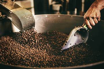 Antara Kopi Arabika dan Robusta, Apa Bedanya?