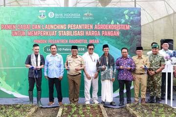 Ponpes di Lebak Panen Cabai, Andra Dorong Replikasi Agro-Ekosistem