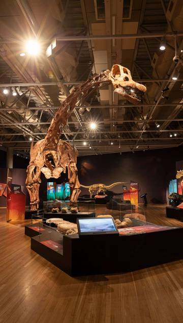 Science Centre Singapura Hadirkan Pameran Dinosaurus Terbesar 2025