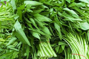 Langkah Tepat Memilih Kangkung Agar Masakan Lezat