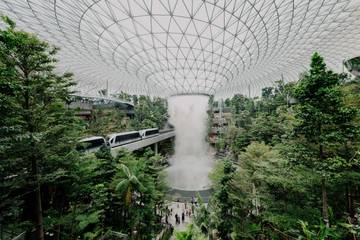 China prove markets utama Bandara Changi 2025
