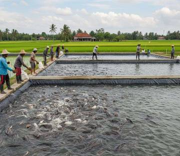 Ternak Lele Jadi Peluang Bisnis Mudah dan Menjanjikan