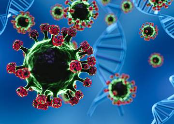 Mengenal Virus Nipah, Penyakit Zoonosis yang Perlu Diwaspadai