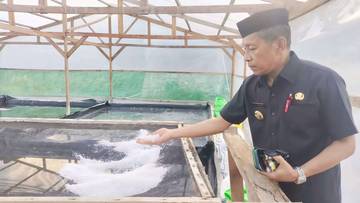 Bupati Butur Tinjau Produksi Garam, Dorong Legalitas dan Pemasaran   
