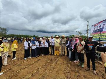 Pemda Muna Canangkan Gerakan Tanam Jagung Massal