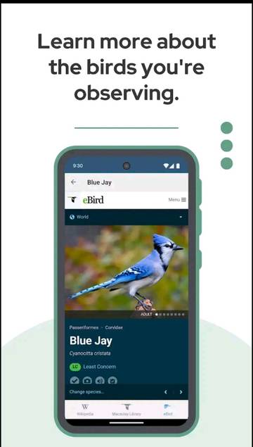 Hadirnya Aplikasi BirdNet Memudahkan Peneliti Ornitologi
