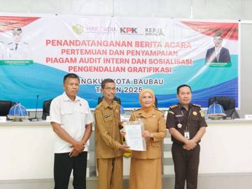 Piagam Audit Intern, Kewenangan Inspektorat Daerah Tanpa Intervensi