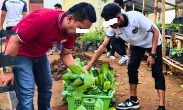 Lapas Baubau Panen Pakcoy, Wujud Pembinaan Kemandirian WBP