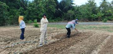 Kesbangpol Bombana Pantau Kebun OPD Jaga Ketahanan Pangan