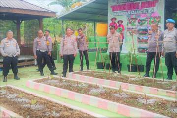 Kapolres Buton Tinjau Progres Budidaya Uwi Ungu Bhayangkari