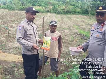 Polsek Sorawolio Tanam  Jagung Pakan Dukung Ketahanan Pangan