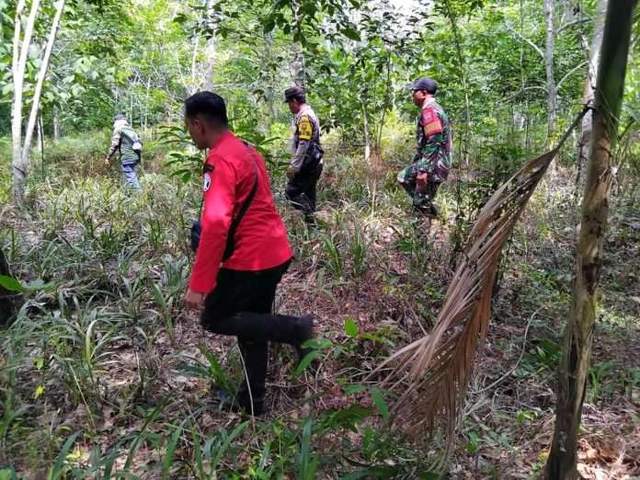 Babinsa Bengkalis Gencarkan Patroli Cegah Karhutla - RRI.co.id