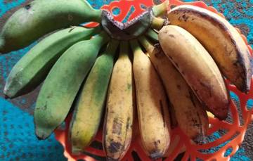 Mengenal Pisang Raja dan Khasiatnya Bagi Kesehatan