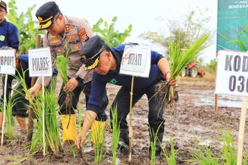 Pemkab Meranti Dukung Gerakan Nasional Tanam Padi