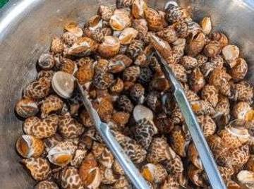 Keong Macan, Makanan Laut Sehat Dan Lezat