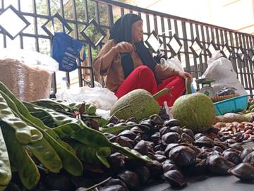 Harga Jengkol Bengkalis Melonjak Hingga Rp45 Ribu
