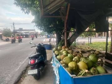 Wandi Bertahan Hidup dengan Usaha Kelapa Muda 