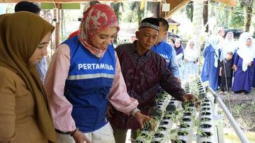 PHR Dorong Ekonomi Masyarakat Minas Disektor Perikanan Akuaponik