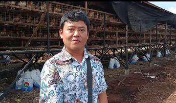 Helik Sukses Kembangkan Peternakan Ayam Petelur di Bengkalis