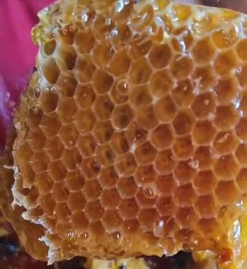 Beeswax: Lilin Lebah Alami dengan Banyak Manfaat